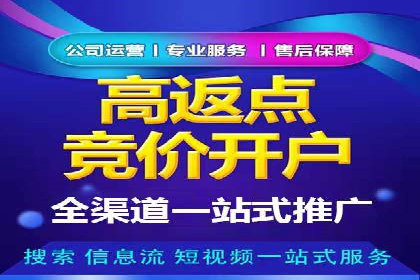推广竞价策略优化：借鉴成功案例实现高效转化